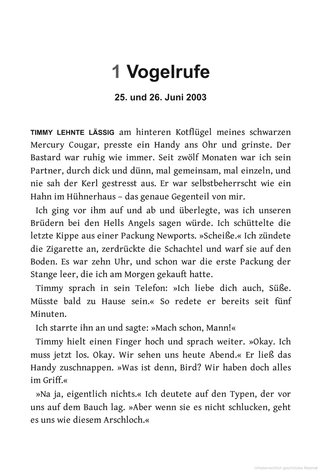 Falscher Engel-Softcover