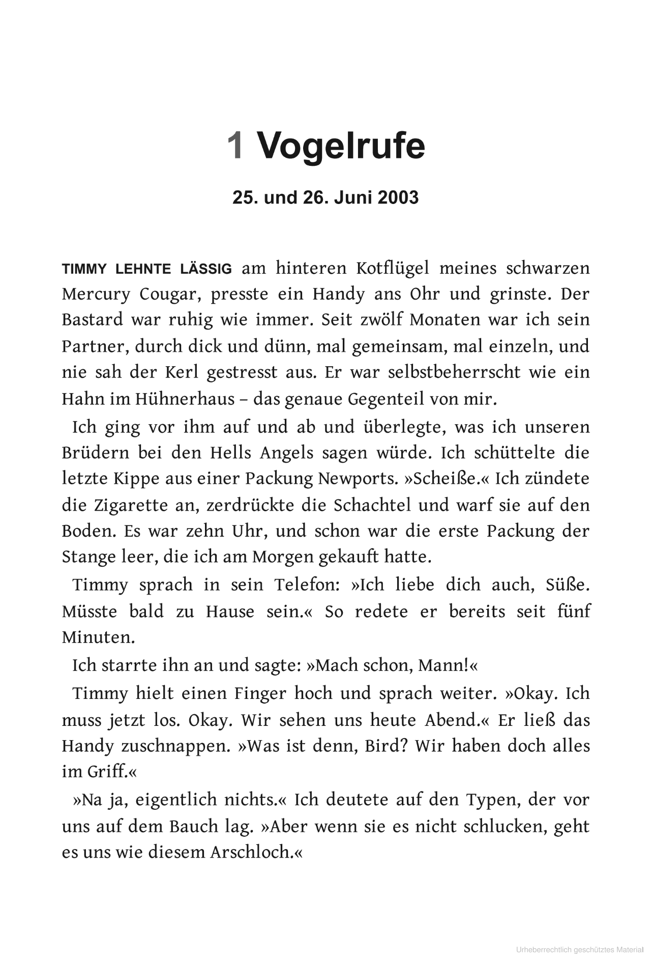 Falscher Engel-Softcover