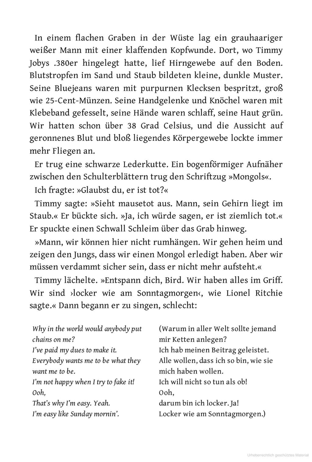 Falscher Engel-Softcover