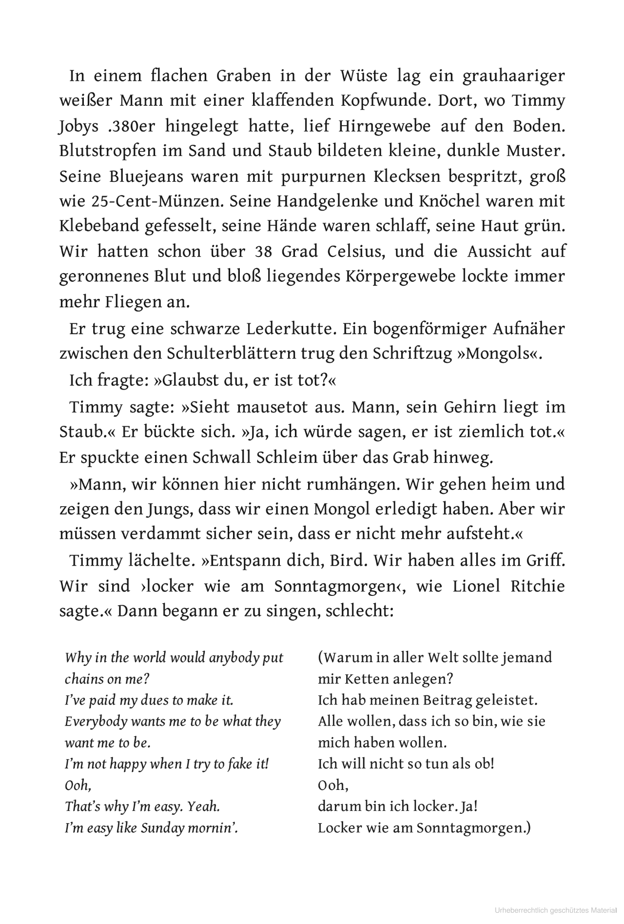 Falscher Engel-Softcover